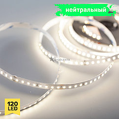 Нейтральный цвет 9,6w 24v, 120LED IP20 (CRI 85, 3M скотч), 1 год гарантии, 5 метров 2835 светодиодная лента