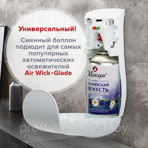 Сменный баллон 250 мл МЕЛОДИЯ "Альпийская свежесть" для автоматических освежителей, универсальный ЦЕНА БЕЗ НДС - фото 9 - id-p223504599