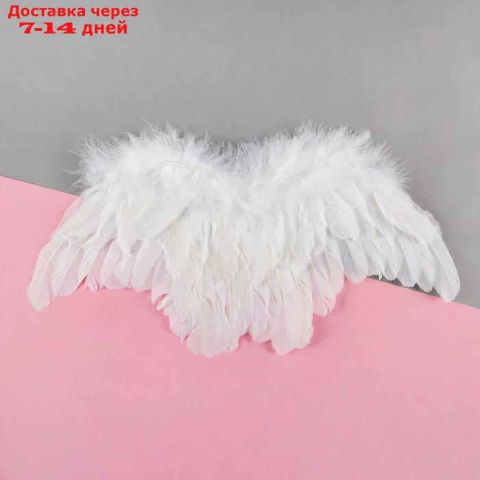 Крылья ангела, 55×3 см, цвет белый - фото 1 - id-p223482725