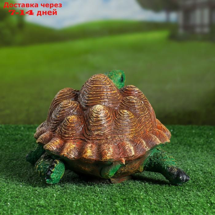 Садовая фигура "Черепаха" 30х23х16 см - фото 3 - id-p223484570