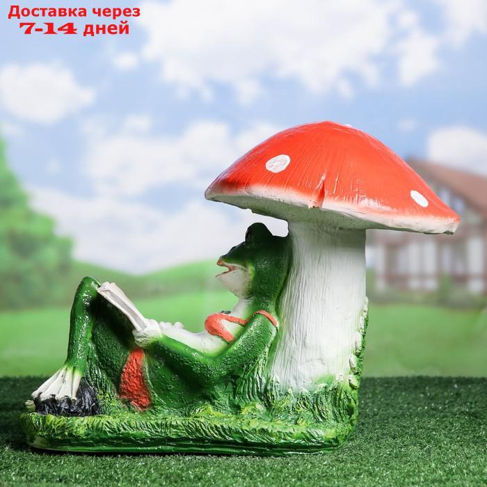 Садовая фигура "Лягушка под грибом с книжкой" 25*45*35 см - фото 3 - id-p223484583