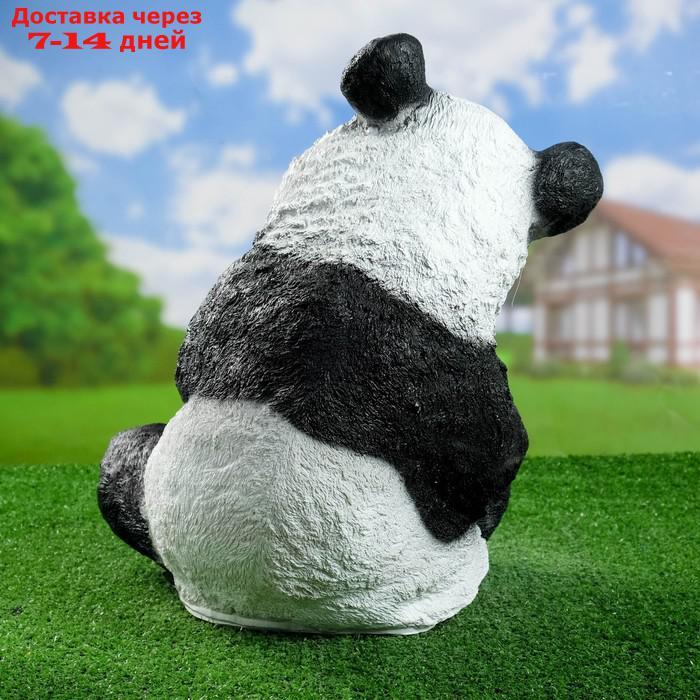 Садовая фигура "Панда" большой 47 см - фото 3 - id-p223484608