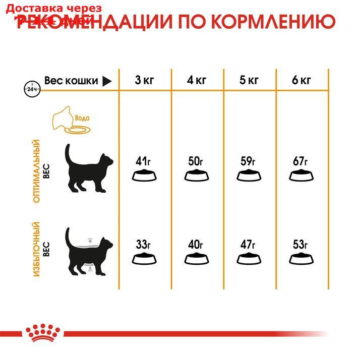 Сухой корм RC Hair and Skin care для кошек, для кожи и шерсти, 400 г - фото 6 - id-p223486567