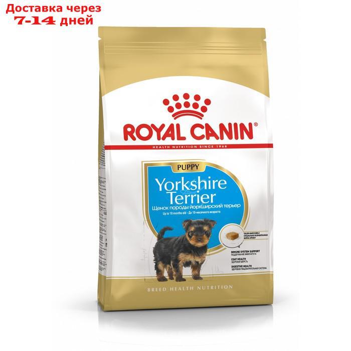 Сухой корм RC Yorkshire Terrier Junior для щенков йоркширского терьера, 500 г - фото 1 - id-p223485335