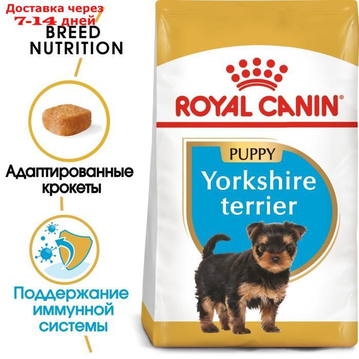 Сухой корм RC Yorkshire Terrier Junior для щенков йоркширского терьера, 500 г - фото 3 - id-p223485335