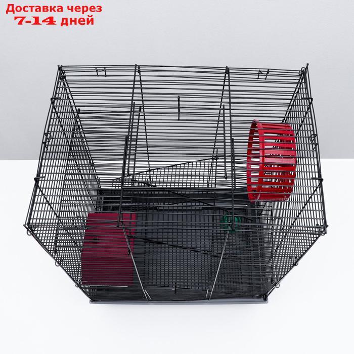 Клетка для грызунов "Пижон" №5, с 3 этажами, укомплектованная, 41 х 30 х 58 см, серая - фото 9 - id-p223485383