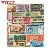 Альбом для бон на кольцах, 225 х 265 мм, "Для банкнот", обложка ламинированный картон, формат Оптима