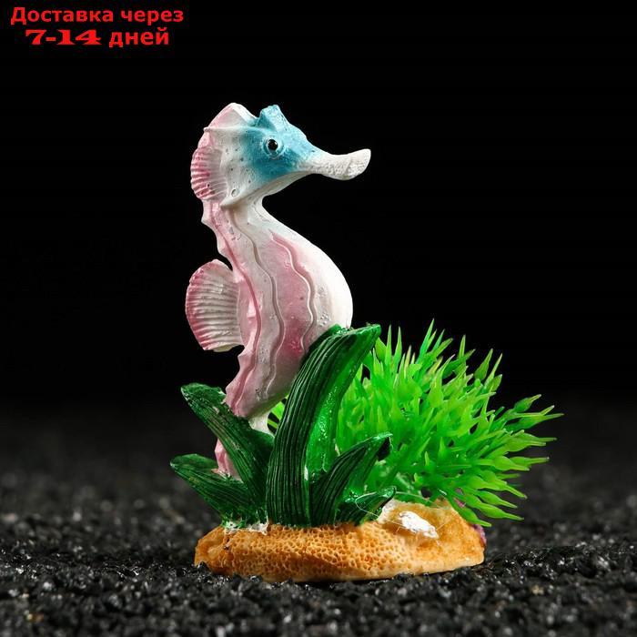 Декор для аквариума "Морской конёк" на подставке, 5 х 4,5 х 8,5 см - фото 1 - id-p223486722