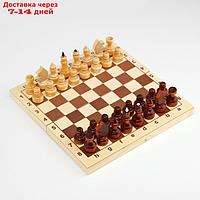 Шахматы обиходные, 29х14.5х4.6, h=3.1-6.7 см, d=2.2-2.4 см