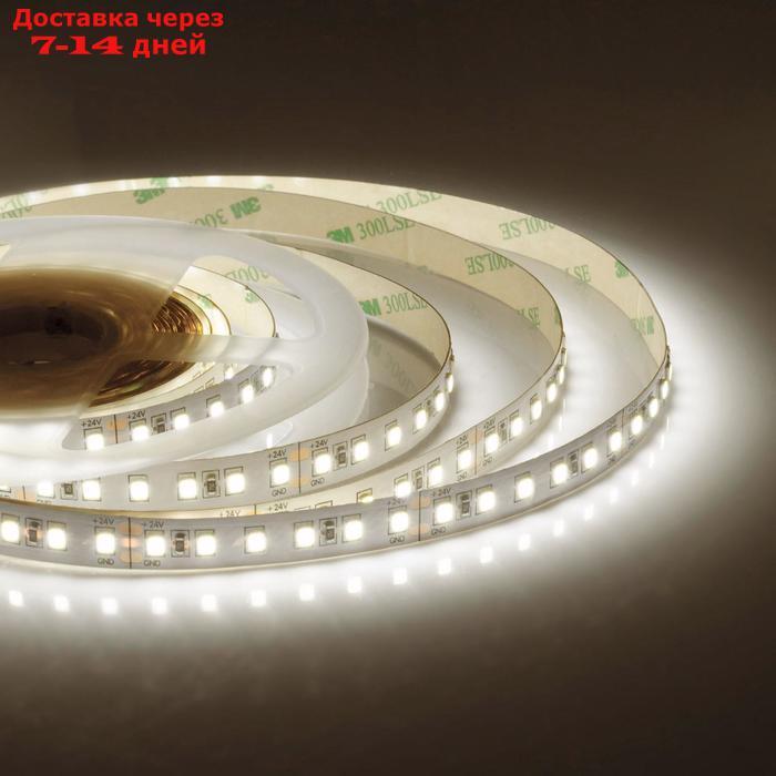 Светодиодная лента Apeyron 24В, SMD3528, 5 м, IP20, 10Вт/м, 120 LED/м, 900Лм/м, ДН. БЕЛЫЙ