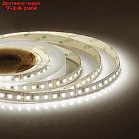 Светодиодная лента Apeyron 24В, SMD3528, 5 м, IP20, 10Вт/м, 120 LED/м, 900Лм/м, ДН. БЕЛЫЙ