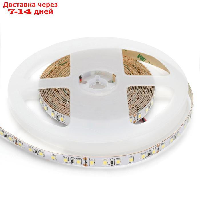 Светодиодная лента Apeyron 24В, SMD3528, 5 м, IP20, 10Вт/м, 120 LED/м, 900Лм/м, ДН. БЕЛЫЙ - фото 2 - id-p223486126