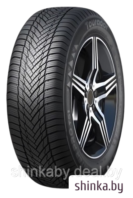 Зимние шины Tourador Winter Pro TS1 195/65R15 91T - фото 1 - id-p223511031