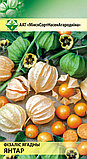 Физалис ягодный Янтарь, семена, 0,1гр, (мссо), фото 2
