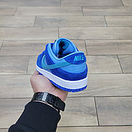 Кроссовки Wmns Nike Dunk Low Pro SB Fruity Pack Blue Raspberry, фото 4