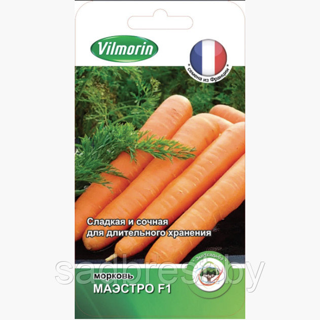 Семена Морковь Маэстро F1 (250 шт) Vilmorin - фото 1 - id-p223531067