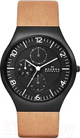 Часы наручные мужские Skagen SKW6114