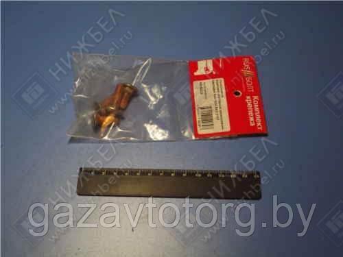 Комплект крепления накладок бампера ВАЗ-2107 хром (RB N0032), 50018792, фото 2