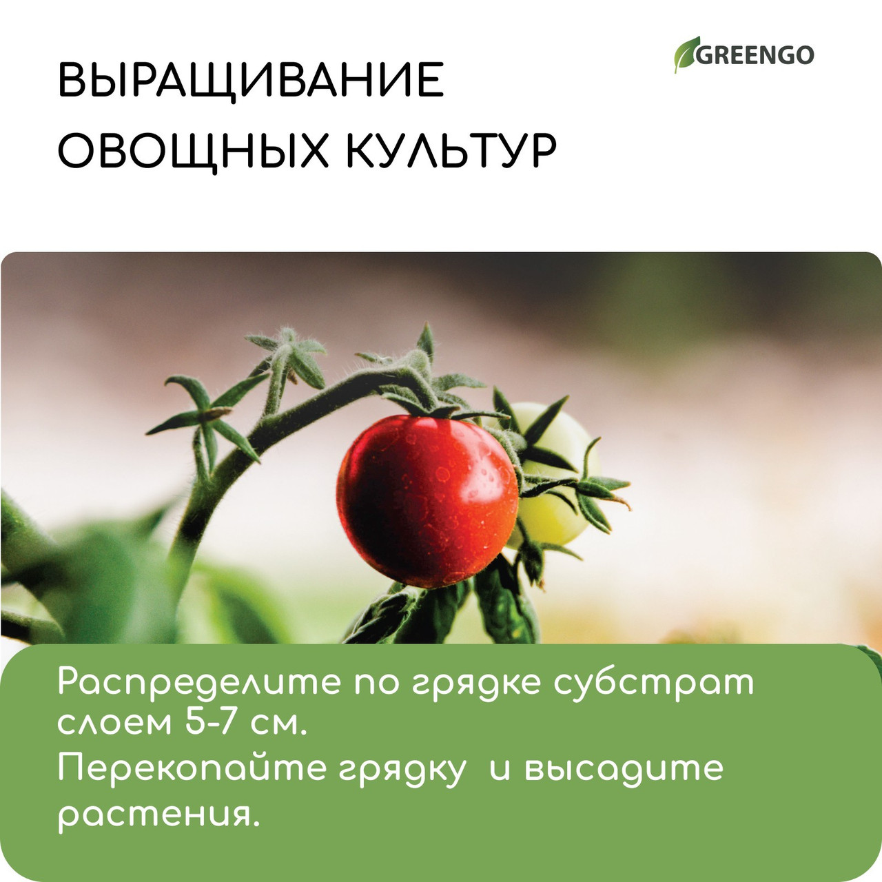 Субстрат кокосовый в брикете 4л 30% чипсы, 70% торф Greengo - фото 6 - id-p218317892