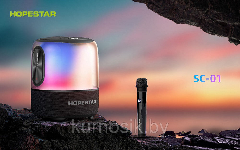 Портативная Bluetooth колонка HOPESTAR SC-01 с микрофоном 60 Вт с функцией TWS и RGB подсветкой - фото 8 - id-p223541690