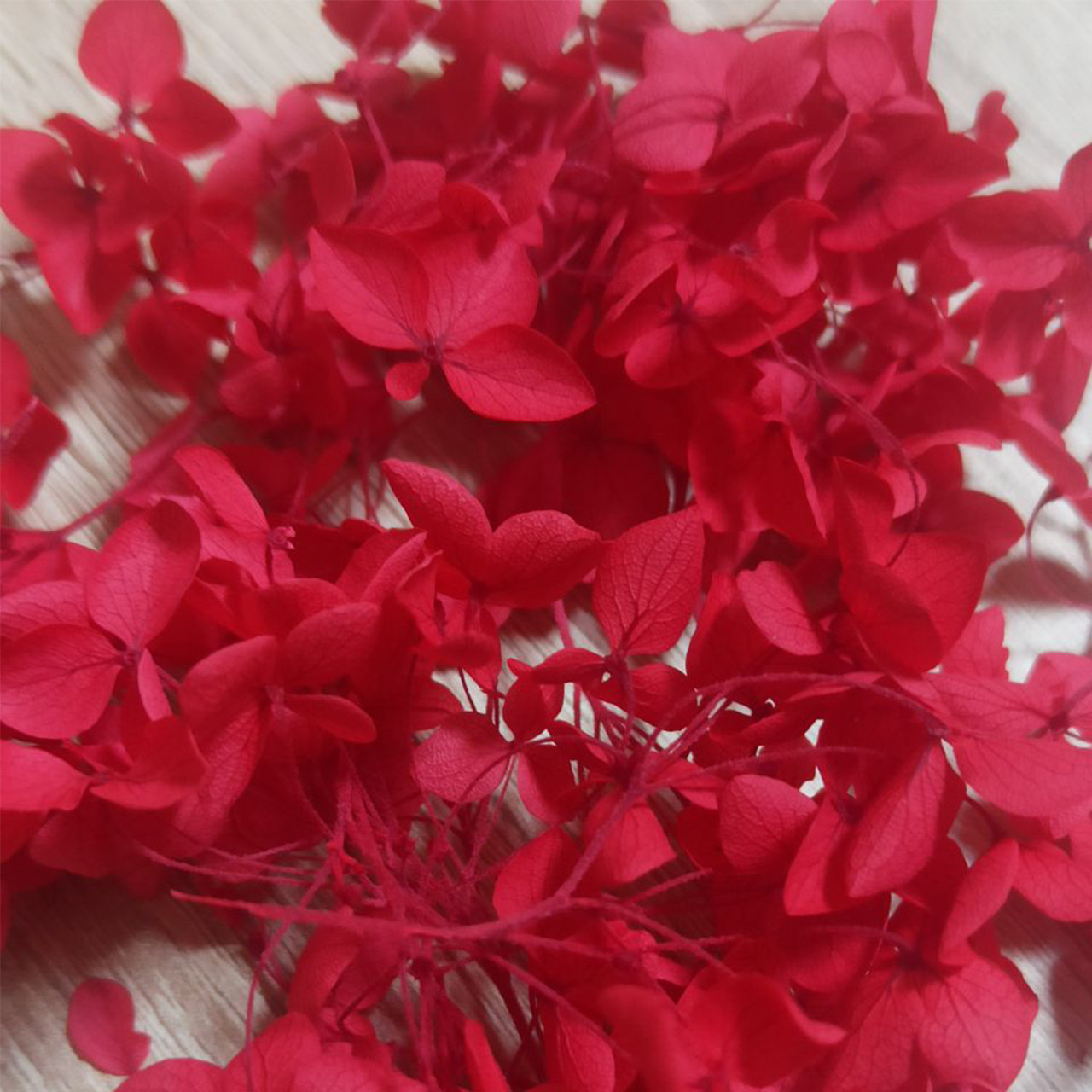 Сухоцветы Гортензия стабилизированная красная - фото 1 - id-p223542579