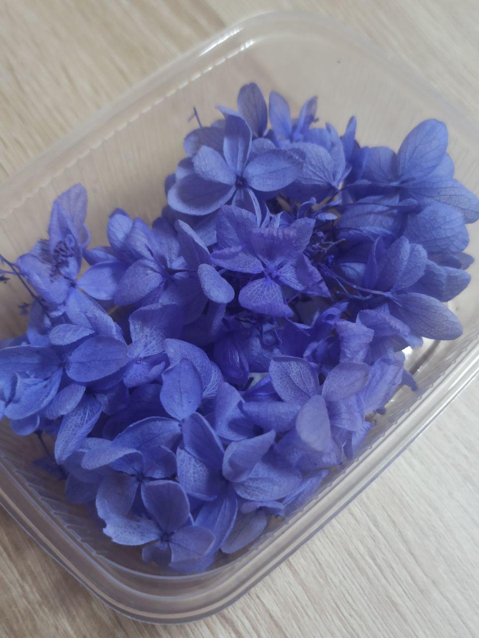 Сухоцветы Гортензия стабилизированная синяя - фото 2 - id-p223542580