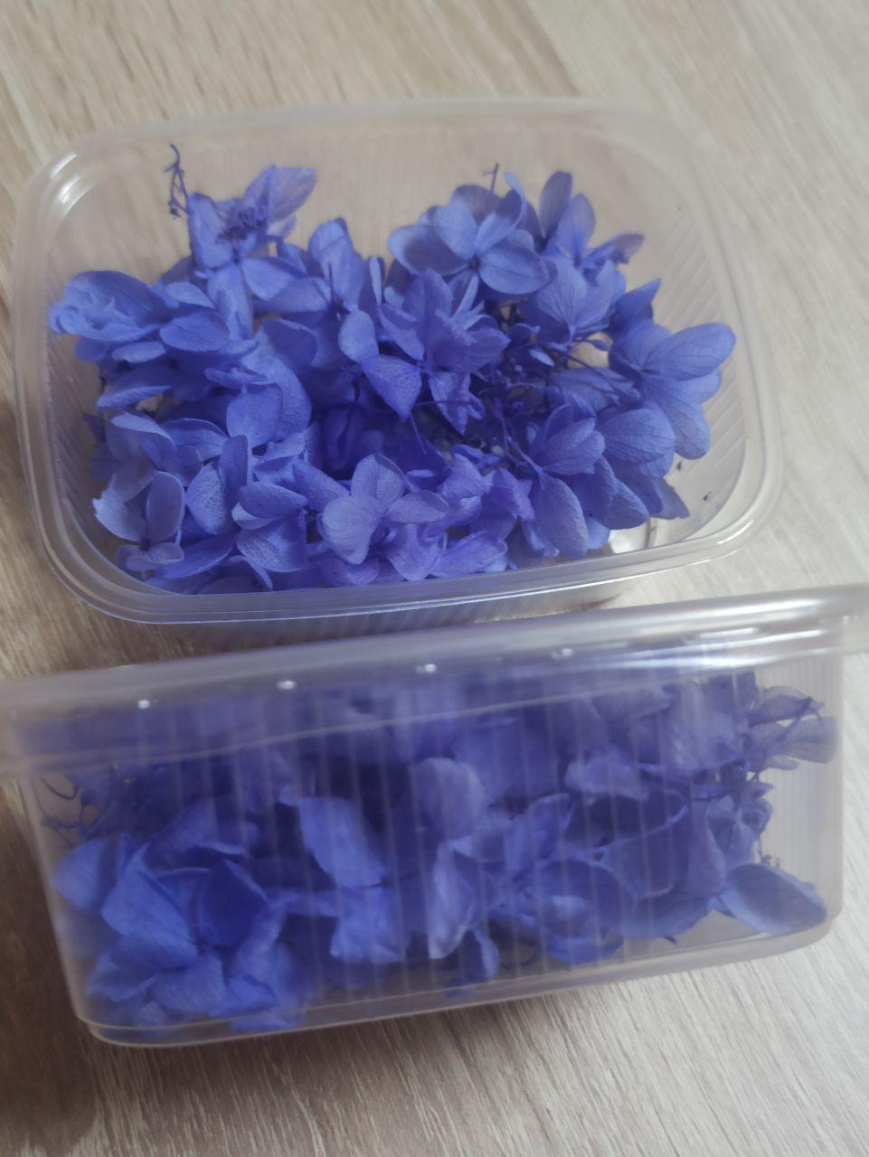 Сухоцветы Гортензия стабилизированная синяя - фото 3 - id-p223542580
