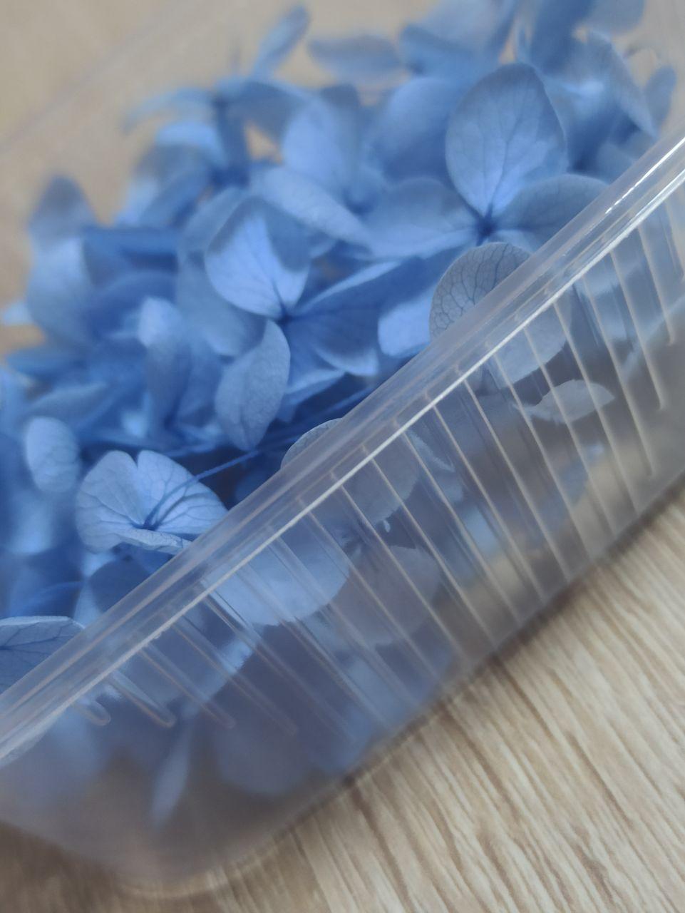 Сухоцветы Гортензия стабилизированная нежно-синяя - фото 2 - id-p223542581