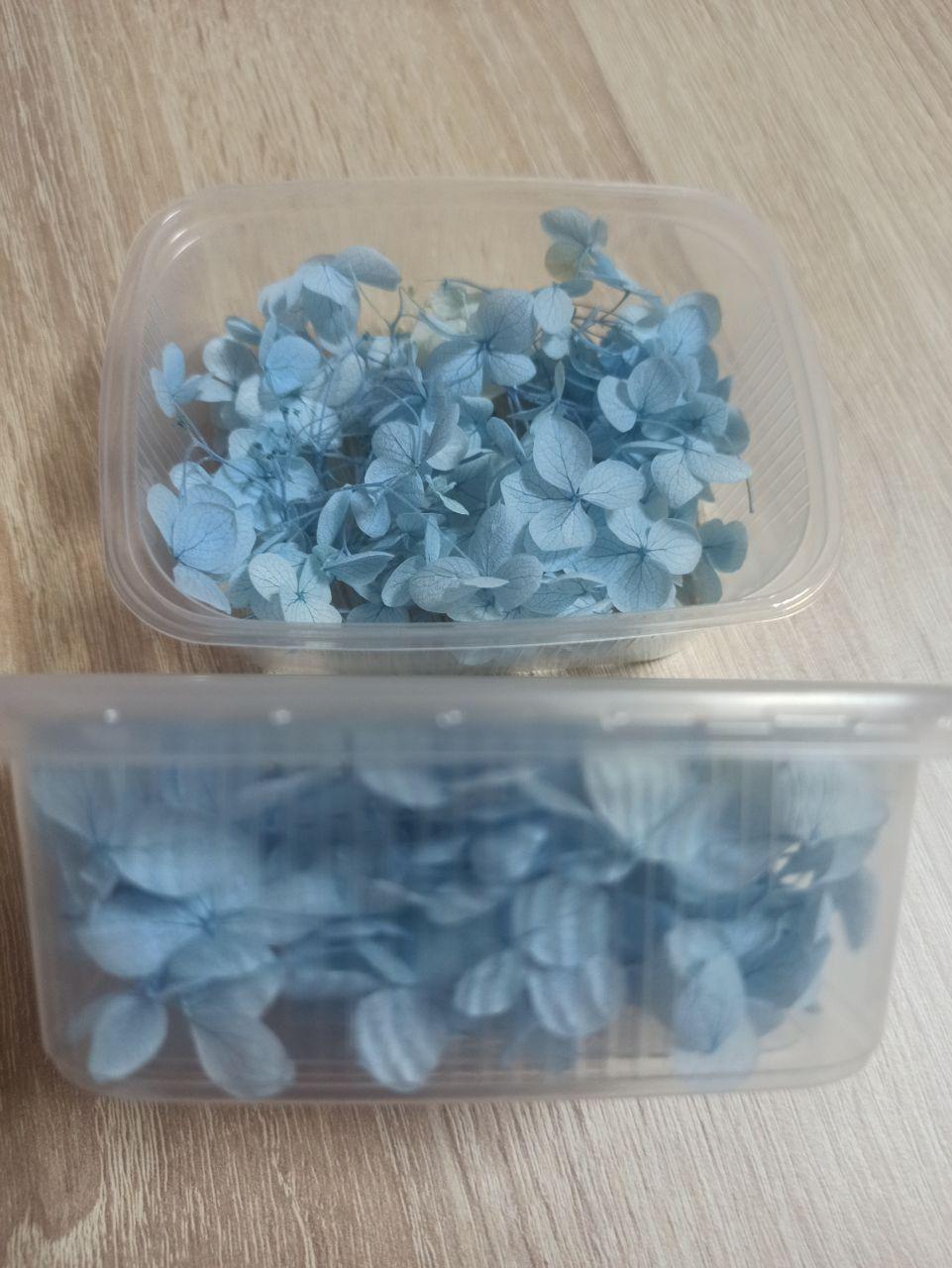 Сухоцветы Гортензия стабилизированная голубая - фото 2 - id-p223542583