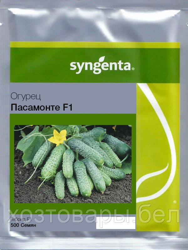 Семена Огурца "Пасамонте" F1 10шт Syngenta Seeds B.V. - фото 4 - id-p223545485