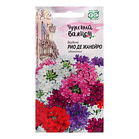 Вербена Рио де Жанейро гибридная 0,05г Одн 20см (Гавриш) Чудесный балкон