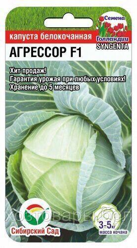 Капуста б/к Агрессор F1 10шт Позд (Сиб сад)