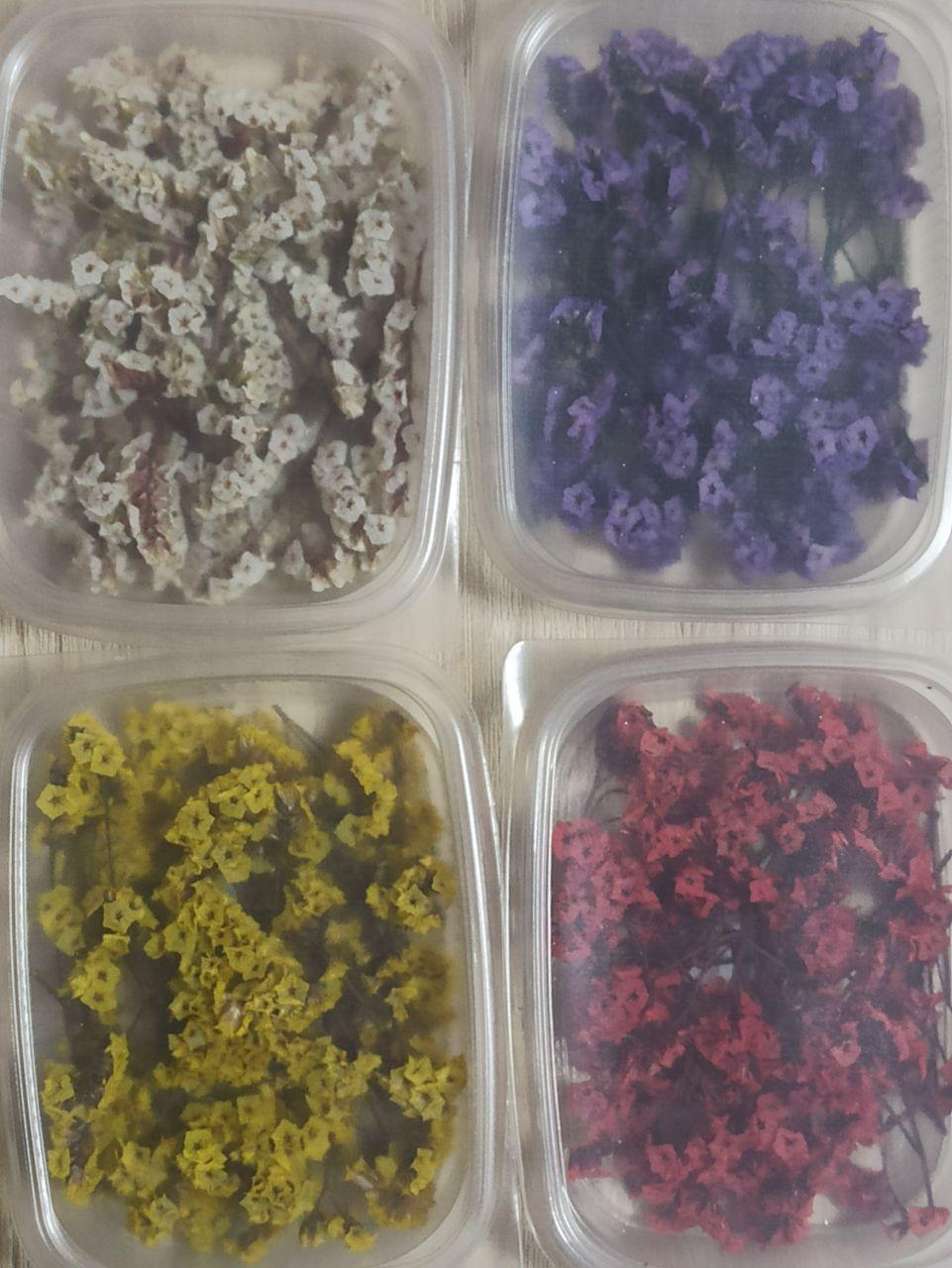 Сухоцветы Лимониум стабилизированный Фиолетовый - фото 1 - id-p223545674