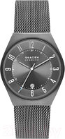 Часы наручные мужские Skagen SKW6815