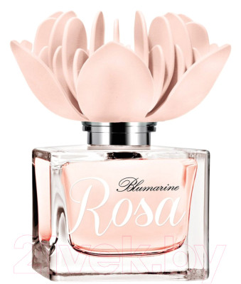 Парфюмерная вода Blumarine Rosa - фото 1 - id-p223559477