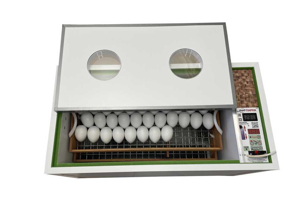 Инкубатор для яиц Блиц НОРМА Парка 120 яиц - фото 1 - id-p223561304