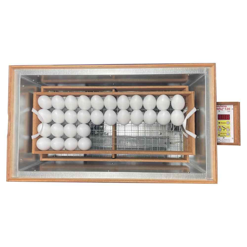 Инкубатор для яиц цифровой Блиц 120Ц - фото 3 - id-p223567242