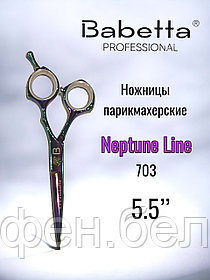 Ножницы парикмахерские Babetta прямые размер 5,5 в кобуре серия Neptune Lion