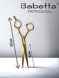 Ножницы парикмахерские Babetta прямые размер 6.0в кобуре серия Gold Lion, фото 2
