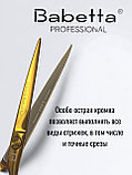 Ножницы парикмахерские Babetta прямые размер 6.0в кобуре серия Gold Lion, фото 4