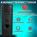 Mivo MD 801 мощная портативная колонка 120Ватт, фото 5