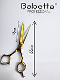 Ножницы парикмахерские  Babetta прямые размер 5,5 в кобуре серия Gold Lion, фото 2