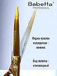 Ножницы парикмахерские  Babetta прямые размер 5,5 в кобуре серия Gold Lion, фото 3