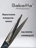 Ножницы парикмахерские Babetta 5 класс прямые размер 5,5 серия Diamond Line, фото 3