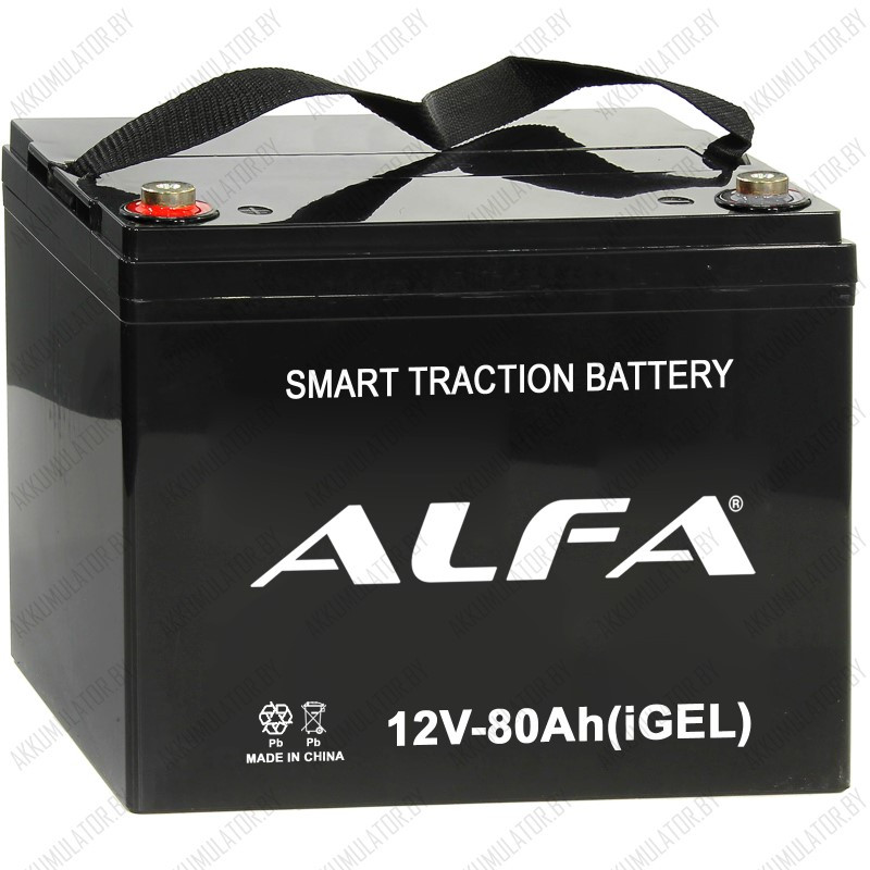 Alfa UPS 12V-80Ah-L
