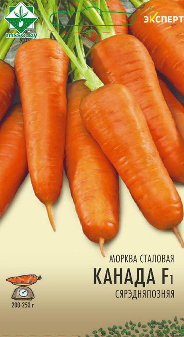 Морковь Канада F1 0,3г Эксперт МССО - фото 1 - id-p223520047
