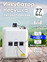 Инкубатор Несушка-77-ЭВА+12В н/н 63В