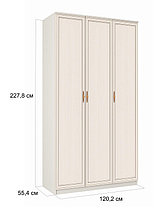 Шкаф для одежды трехдверный 06.56 Габриэлла (2 варианта цвета) фабрика Олмеко (возможен с зеркалами), фото 2