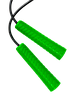 Скакалка для фитнеса ProFitnessLab 2,8м цв.Зеленый/Черный, фото 2