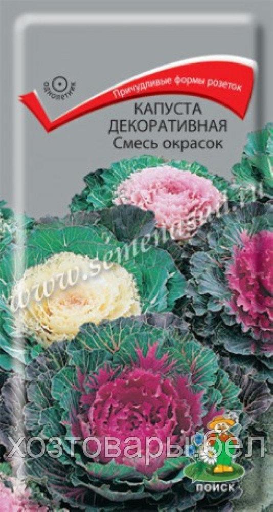 Капуста декор. Смесь окрасок 0,25г (Поиск)